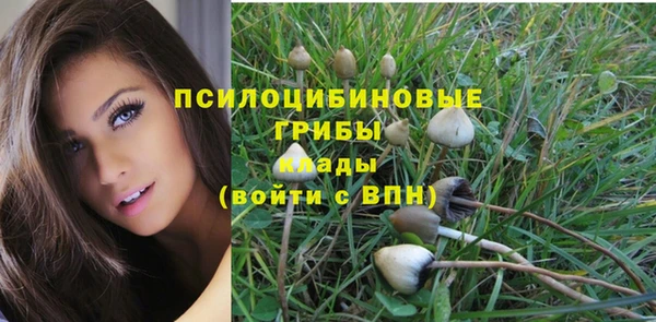 прущие грибы Балахна