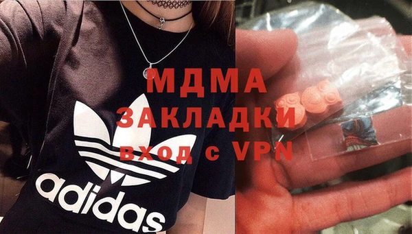стаф Тайга