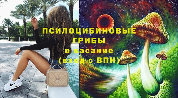 соль ск Тавда